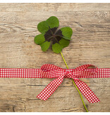 Saat & Gut Glücksklee 4-blättriges Kleeblatt