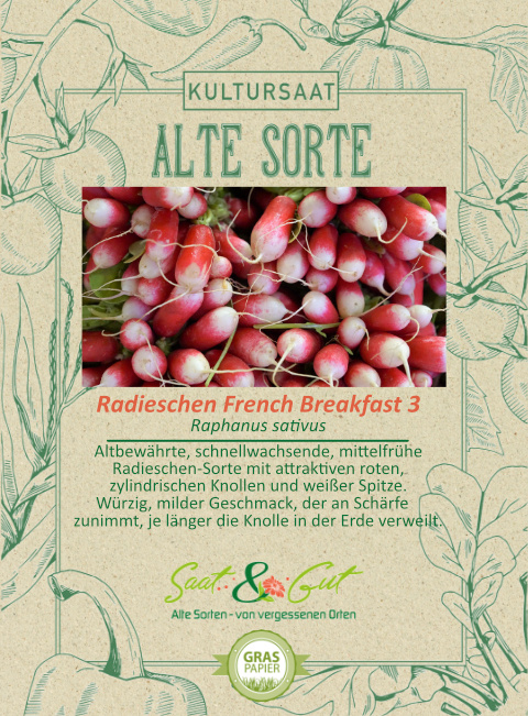 Saat & Gut BIO-Radieschen French Breakfast 3