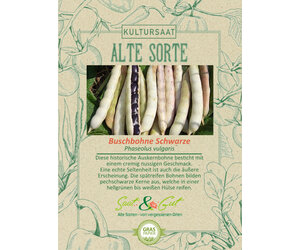 Alte Sorte - BIO-Buschbohne Schwarze - Saat & Gut