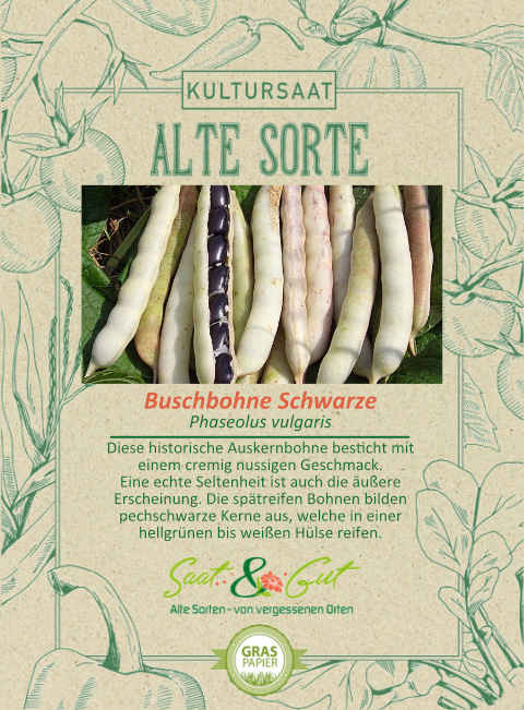 Saat & Gut BIO-Buschbohne Schwarze