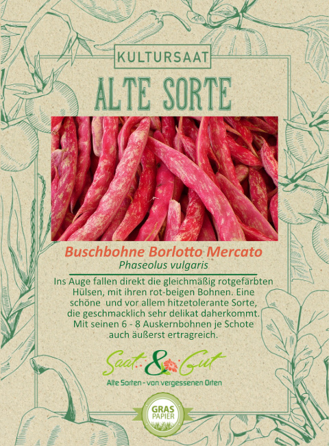 Saat & Gut BIO-Buschbohne Borlotto Mercato