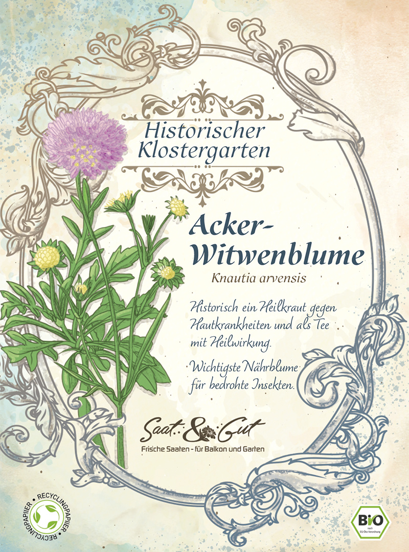 Saat & Gut BIO-Acker-Witwenblume