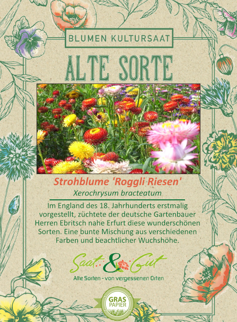 Saat & Gut BIO-Stohblume Roggli Riesen