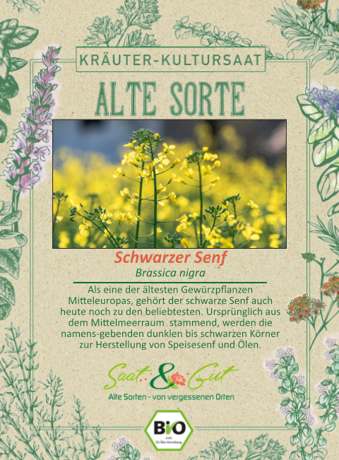 Saat & Gut BIO-Schwarzer Senf