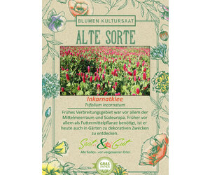 klee saatgut kaufen Luzerne 2,5 kg Z Saatgut fr ca. 650 m Leguminosen Kleesaatgut  Heinrichs  Agrar