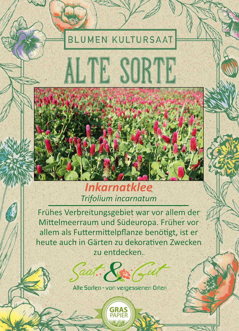 Saat & Gut BIO-Inkarnatklee