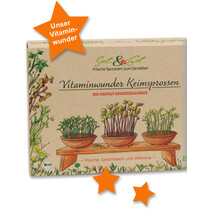 Saat & Gut BIO Keimsprossen Saatgut Würfel-Adventskalender