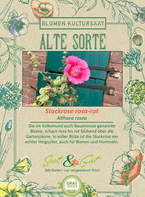 Saat & Gut BIO-Stockrose rosa-rot