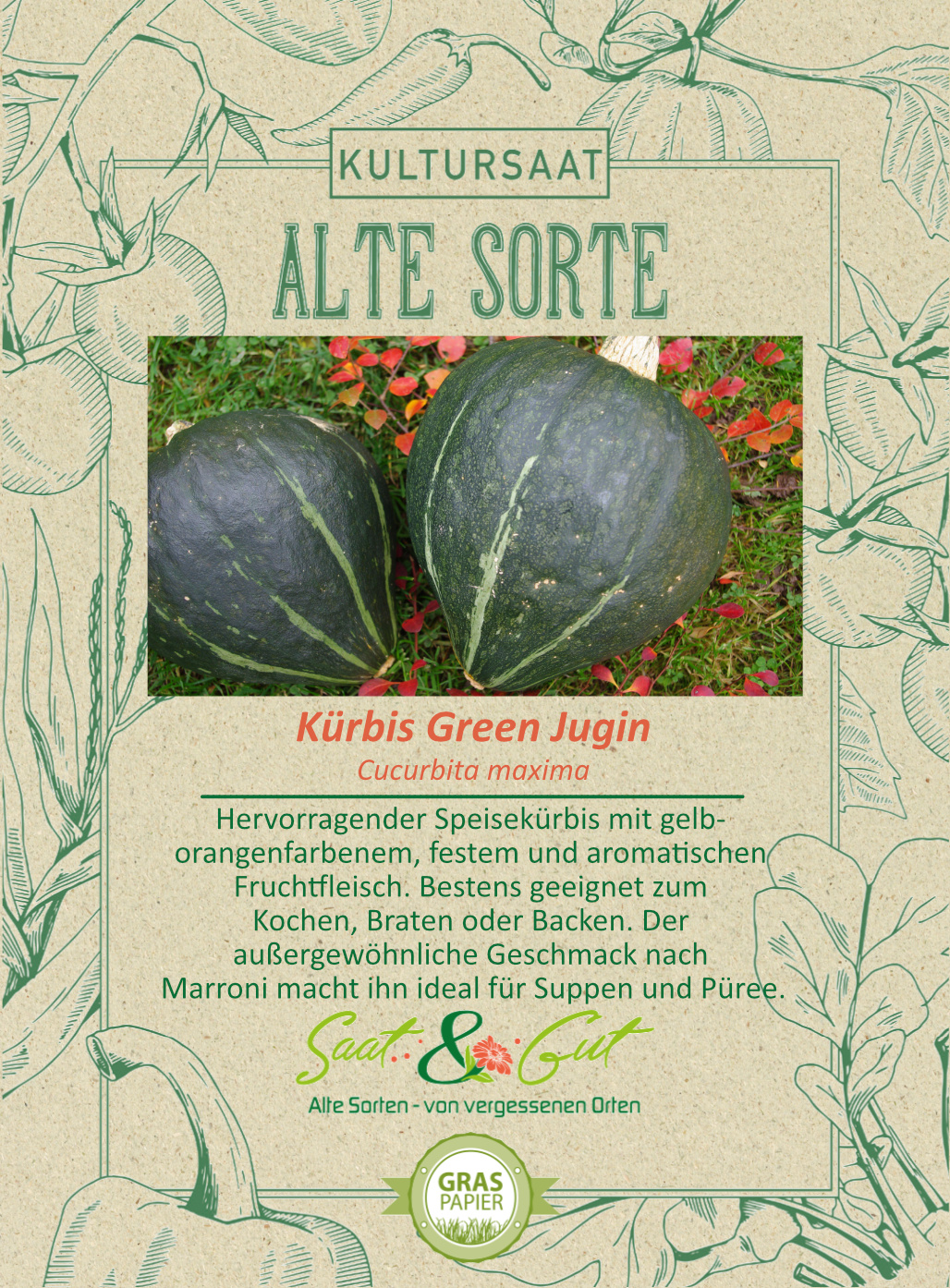 Saat & Gut BIO-Kürbis Green Jugin