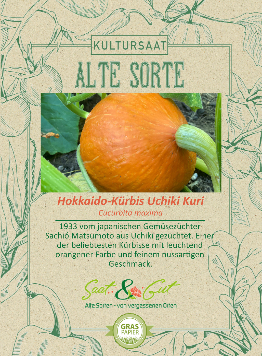 Saat & Gut BIO-Hokkaido Kürbis Uchiki Kuri