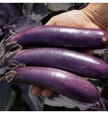 Saat & Gut BIO-Aubergine Slim Jim