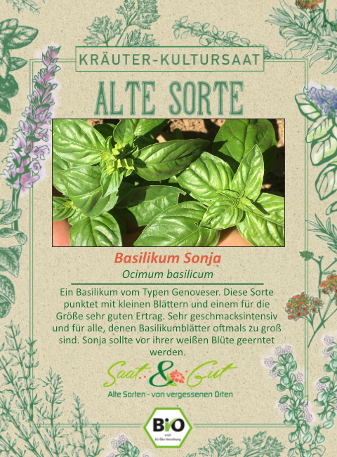 Saat & Gut BIO-Basilikum Sonja