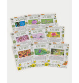 Saat & Gut BIO Cool Flowers Saatgut-Box