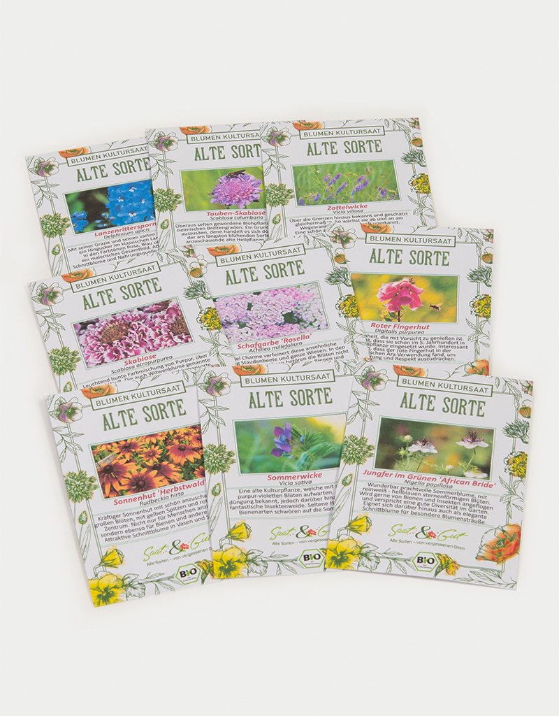 Saat & Gut BIO Cool Flowers Saatgut-Box