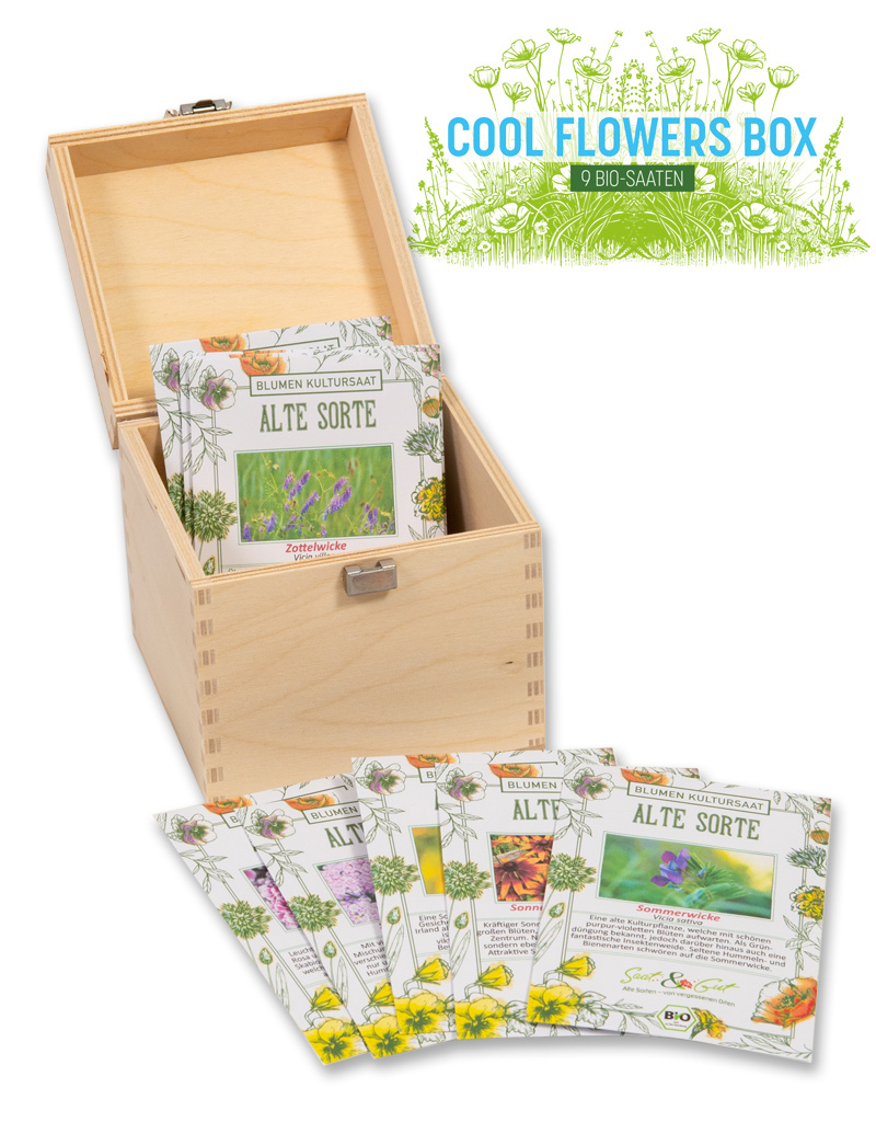 Saat & Gut BIO Cool Flowers Saatgut-Box