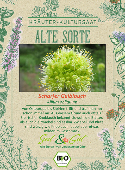 Saat & Gut BIO-Scharfer Gelblauch