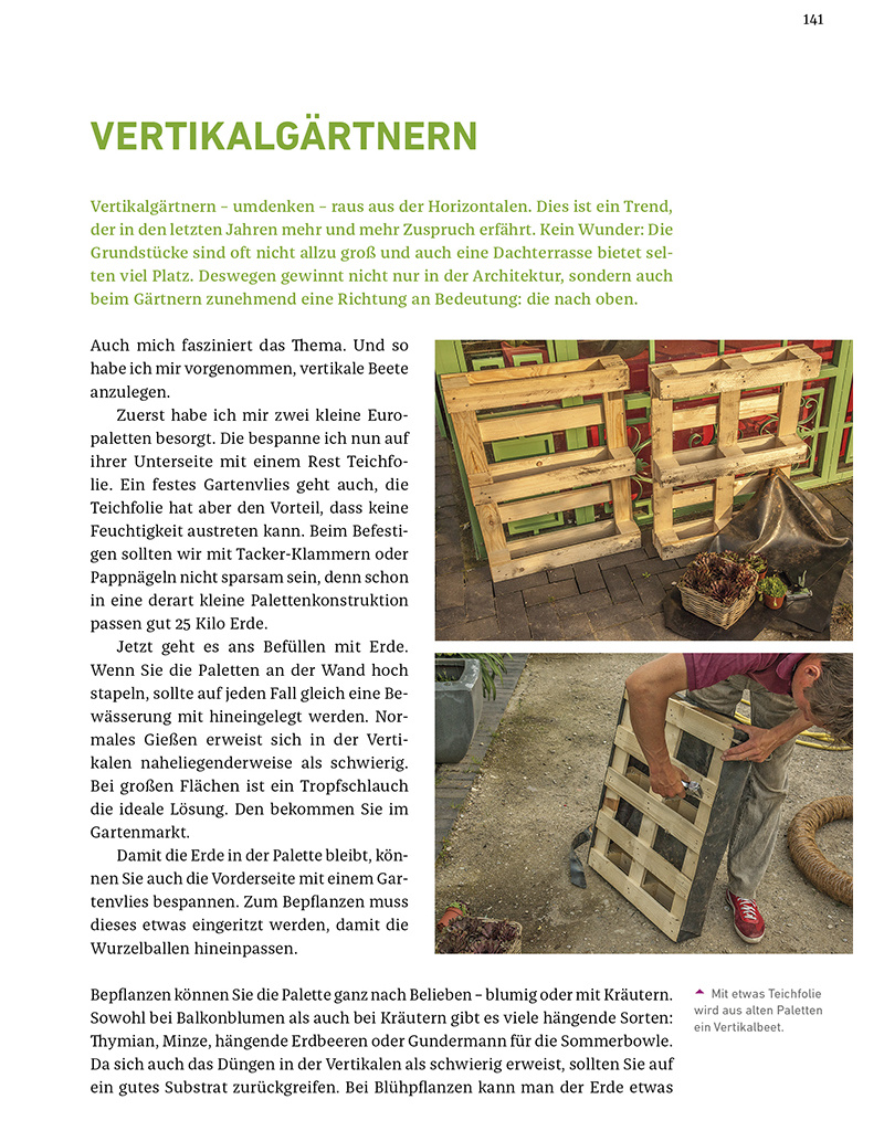 Saat & Gut BIO Vertikal & Hochbeet Gärtnern mit Peter Rasch Saatgut-Box