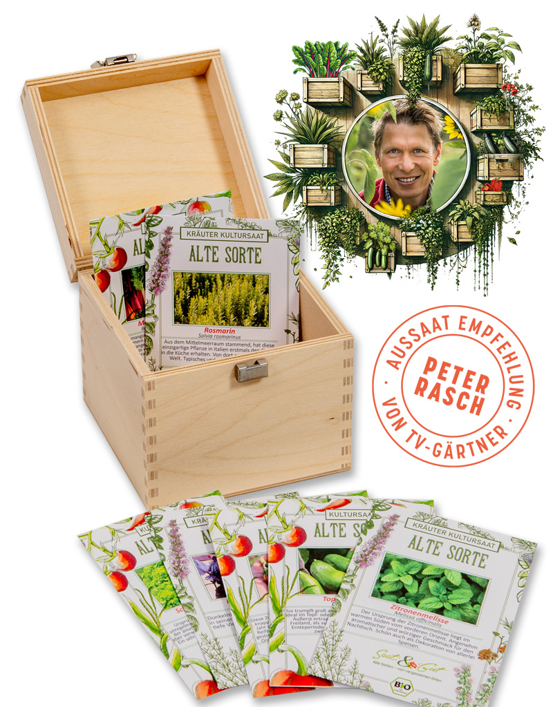 Saat & Gut BIO Vertikal & Hochbeet Gärtnern mit Peter Rasch Saatgut-Box