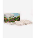 Saat & Gut BIO Selbstversorger Saatgut-Adventskalender