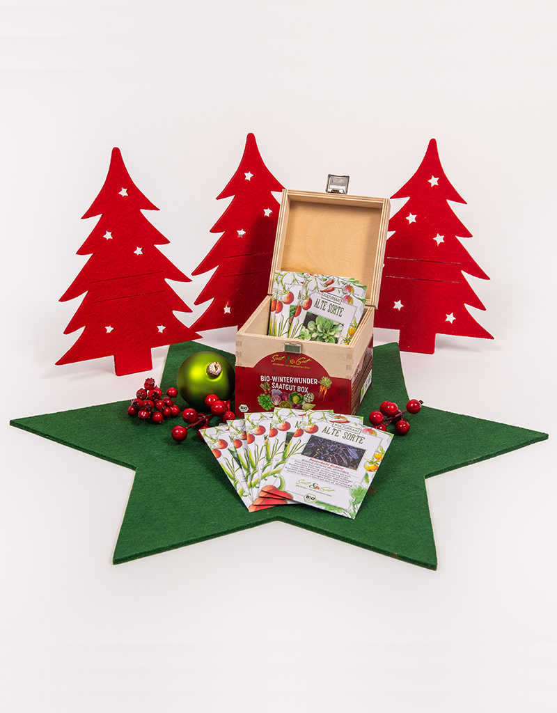 Saat & Gut BIO Winterwunder Saatgut-Box