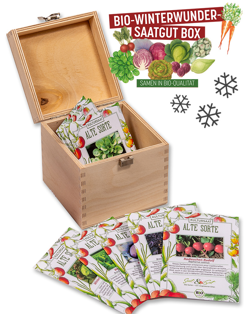 Saat & Gut BIO Winterwunder Saatgut-Box