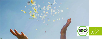 BIO Zertifiziert - laut EG-Öko-Verordnung Saatgutkonfetti