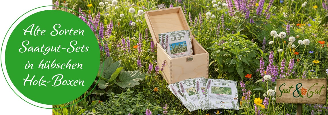 Saatgut-Holz-Boxen