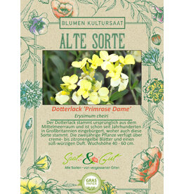 Saat & Gut BIO-Dotterlack 'Primrose Dame'