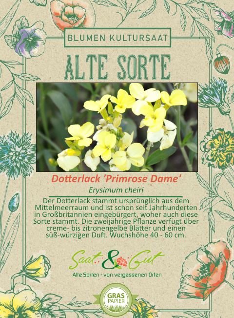 Saat & Gut BIO-Dotterlack 'Primrose Dame'