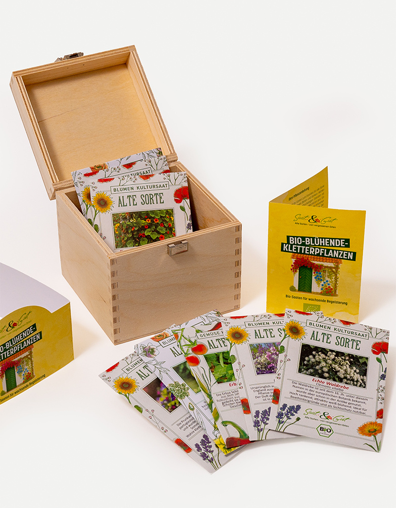 Saat & Gut BIO Blühende-Kletterpflanzen Box