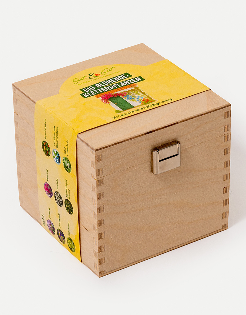 Saat & Gut BIO Blühende-Kletterpflanzen Box