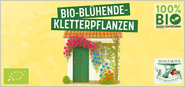 Alte Sorten Kletterpflanzen von Saat & Gut