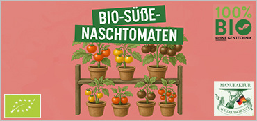 Alte Sorten Naschtomaten von Saat & Gut