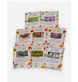 Saat & Gut BIO Schattenblumen-Traum Box