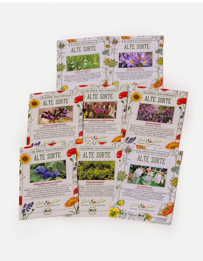 Saat & Gut BIO Schattenblumen-Traum Box
