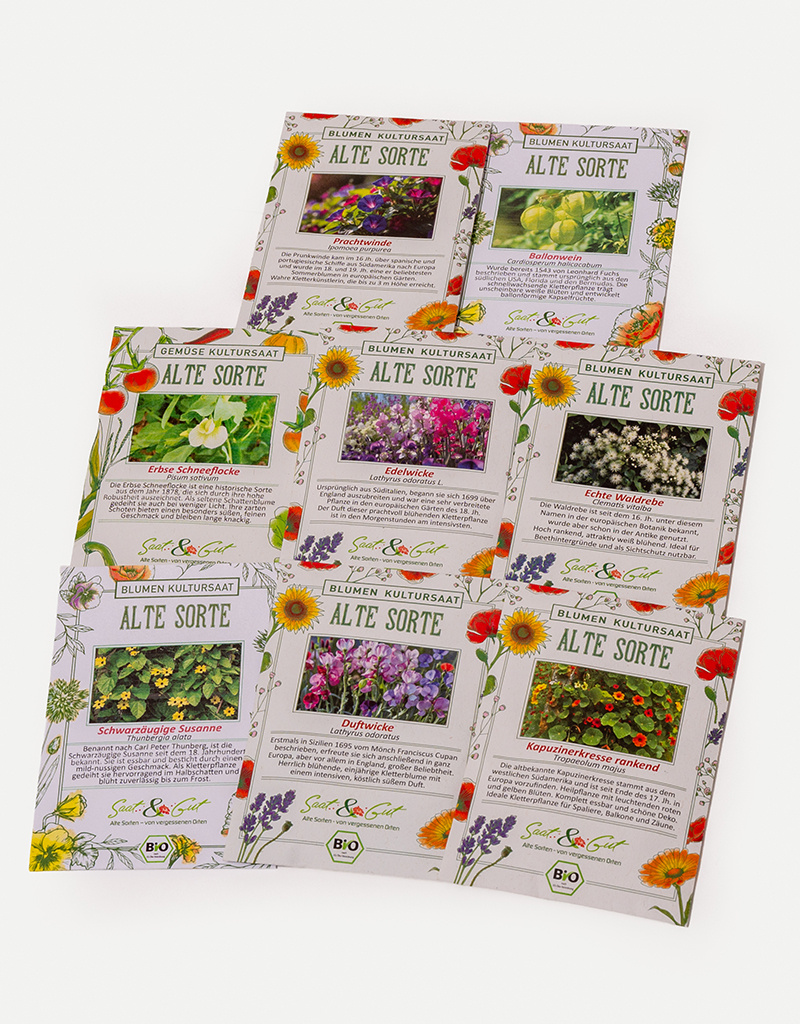 Saat & Gut BIO Blühende-Kletterpflanzen Box