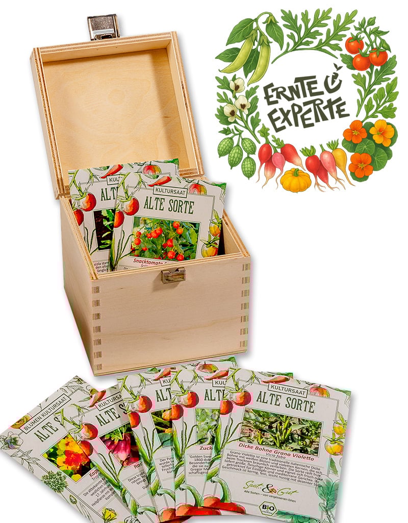 Saat & Gut BIO Ernte-Experte Box