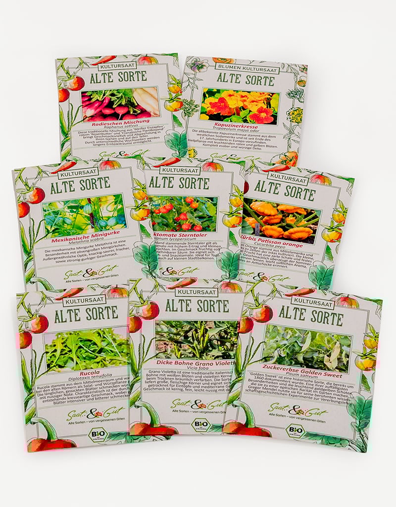 Saat & Gut BIO Ernte-Experte Box