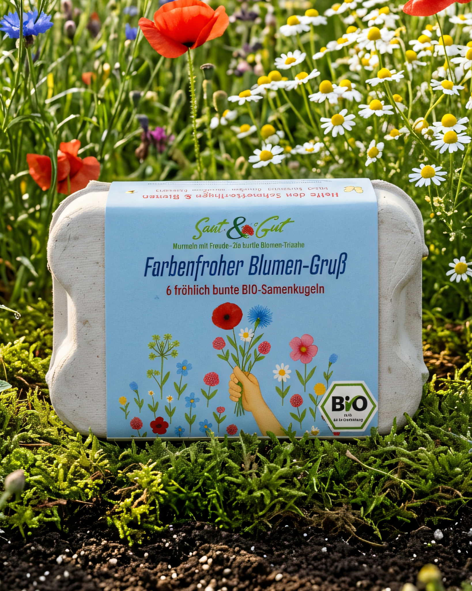 Saat & Gut BIO Samenkugeln "Farbenfroher Blumen-Gruß"