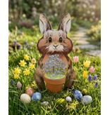 Saat & Gut Mümmelmann mit Blumenstrauß - Anzuchtset