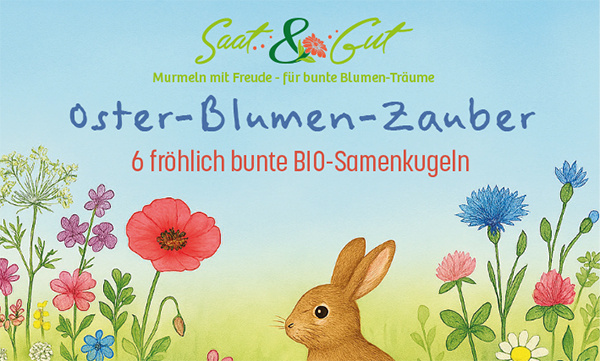 Bio Blumen-Saatgut-Murmeln_Pikto