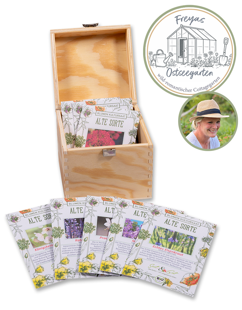 Saat & Gut BIO Freyas Ostseegarten Saatgut-Box