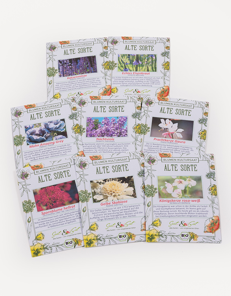 Saat & Gut BIO Freyas Ostseegarten Saatgut-Box