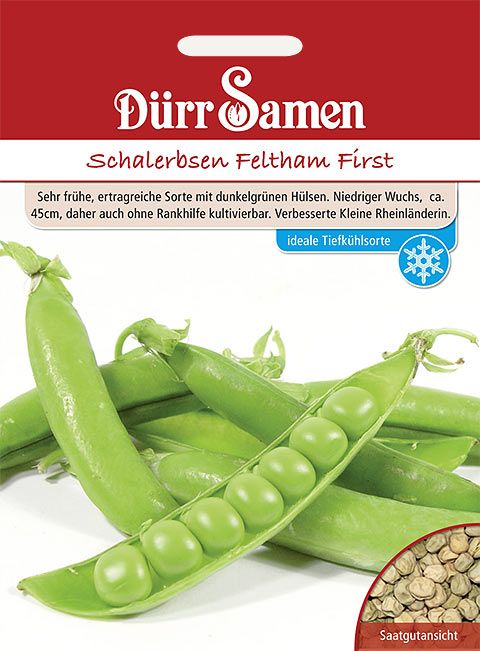 Dürr Samen Schalerbsen  Feltham First