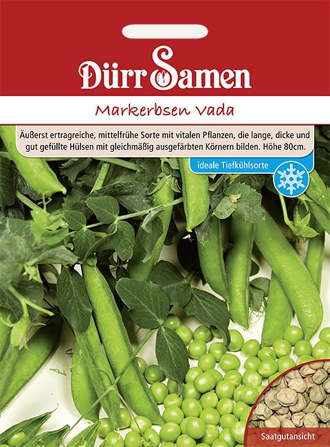 Dürr Samen Markerbsen Vada