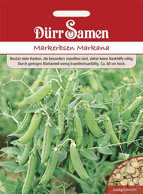 Dürr Samen Markerbsen  Markana