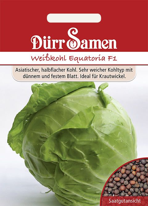 Dürr Samen Weißkohl  Equatoria F1