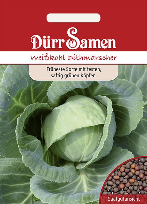 Dürr Samen Weißkohl  Dithmarscher