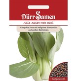 Dürr Samen Asia-Salat  Pak Choi