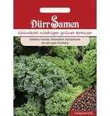 Dürr Samen Winterkohl  Grüner Krauser